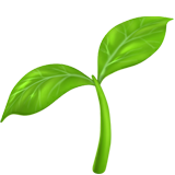 Nutrition & Health Guides
